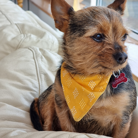 Personalised Bandanas