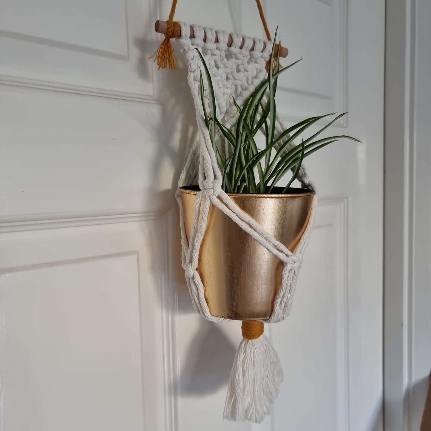 Walled Plant Hanger