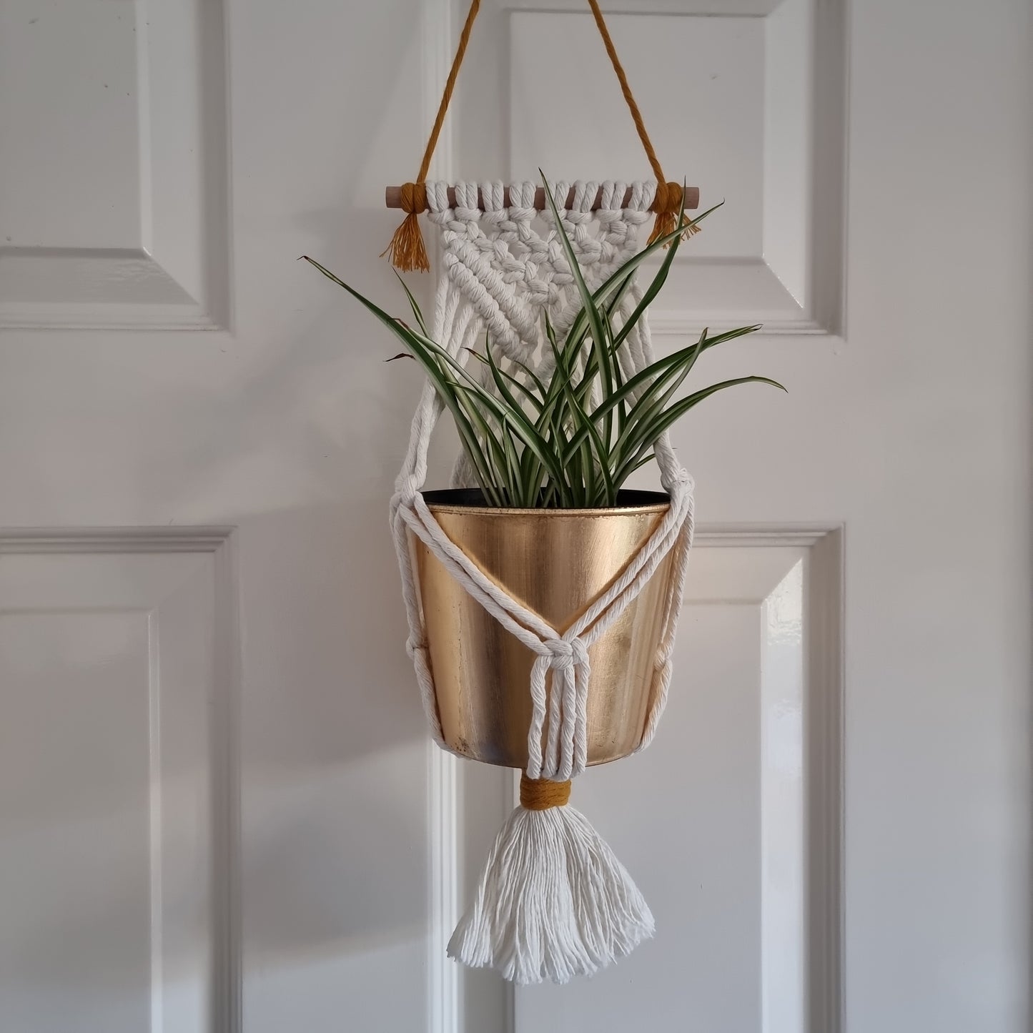 Walled Plant Hanger